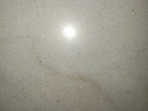 2 BHK Apartment For Sale in Kalpataru Residency, Sanath Nagar