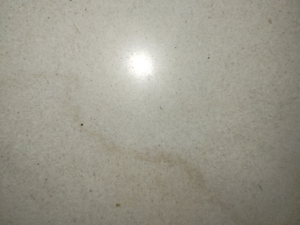 2 BHK + Pooja Room Apartment For Sale in Kalpataru Residency