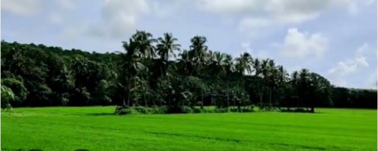 Exterior View, goa velha  11880 Sq.Ft. Plot In Goa Velha Goa 8488478