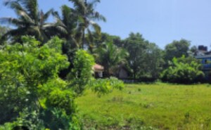 Plot Area in  Plot at Goa Velha – for Sale