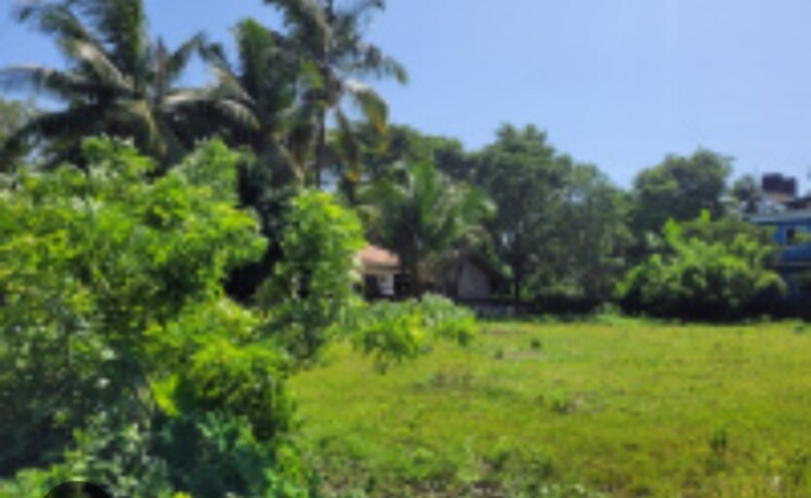 undefined, goa velha  11880 Sq.Ft. Plot In Goa Velha Goa 8488478