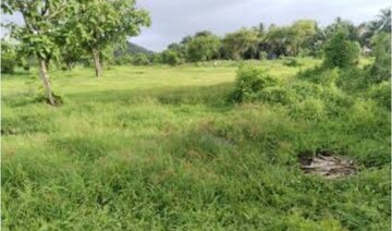  Plot For Sale in Goa Velha