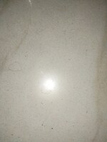 2.5 BHK + Pooja Room 1270 Sq.Ft. Apartment in Kalpataru Avante