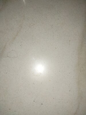 2.5 BHK Apartment For Sale in Kalpataru Avante, Sanath Nagar