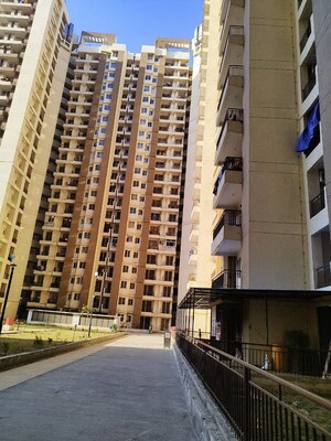 3 BHK Apartment – Exterior View View at Amrapali Golf Homes, Sector 4, Greater Noida - for Sale