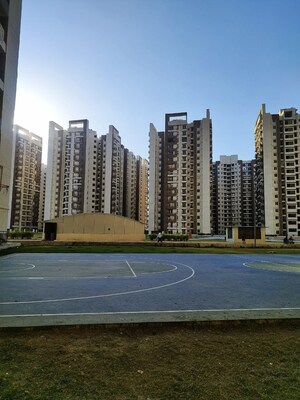 3 BHK Apartment – Exterior View View at Amrapali Golf Homes, Sector 4, Greater Noida - for Sale