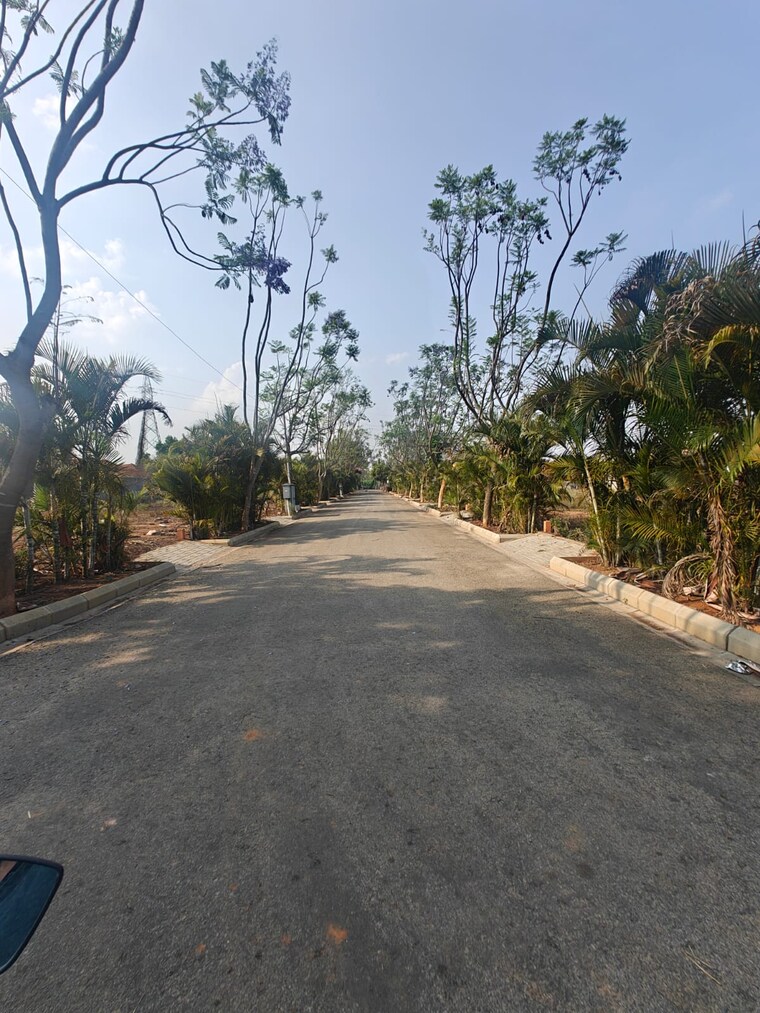 Garden, rbd-meadows  1500 Sq.Yd. Plot In Thattanahalli Bangalore 8488631