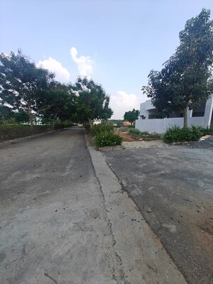 Plot Area in  Plot at RBD Meadows, Thattanahalli – for Sale