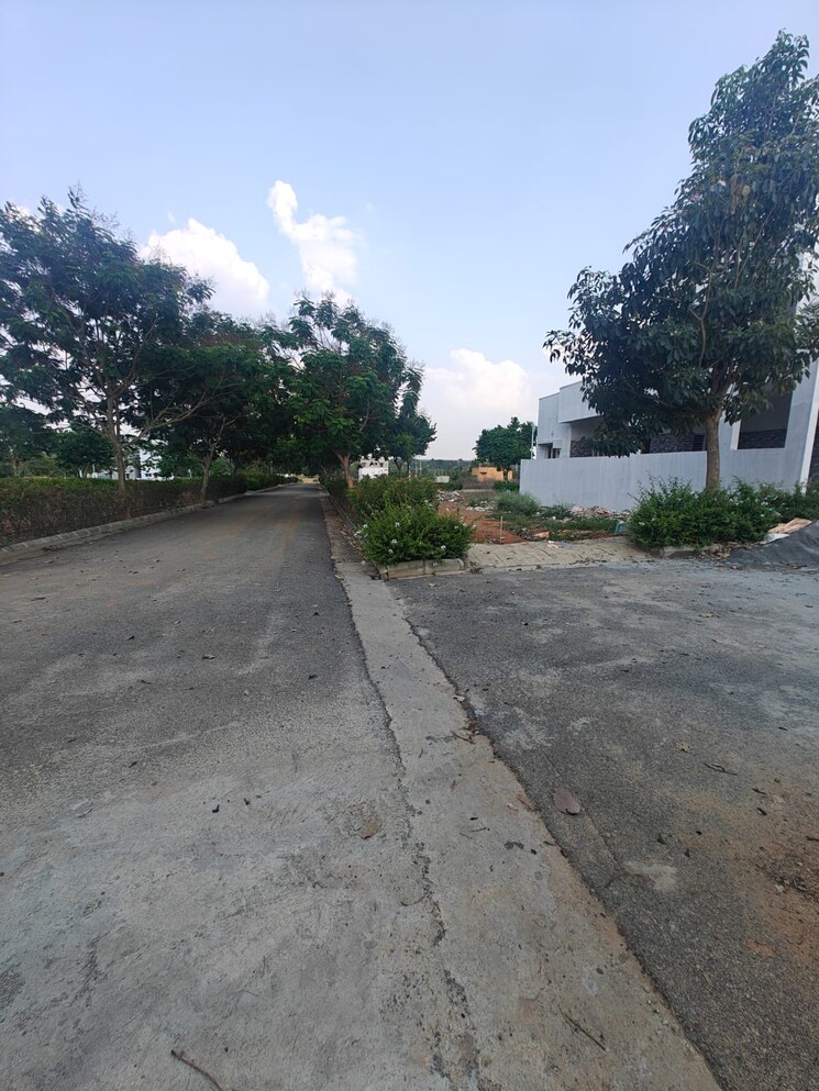 undefined, rbd-meadows  1500 Sq.Yd. Plot In Thattanahalli Bangalore 8488691