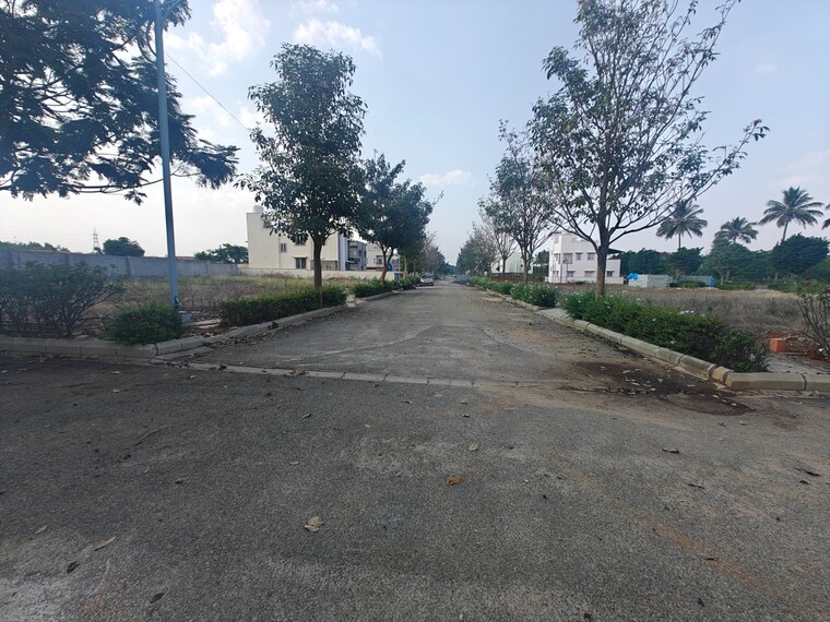 undefined, rbd-meadows  1500 Sq.Yd. Plot In Thattanahalli Bangalore 8488703