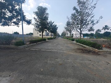 Plot Area in  Plot at RBD Meadows, Thattanahalli – for Sale