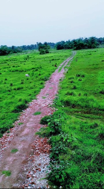  Plot – Garden View at Thakurpukur - for Sale