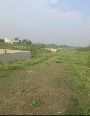 Plot Area in  Plot at Thakurpukur – for Sale