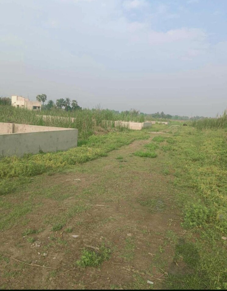 undefined, thakurpukur  2160 Sq.Ft. Plot In Thakurpukur Kolkata 8488816