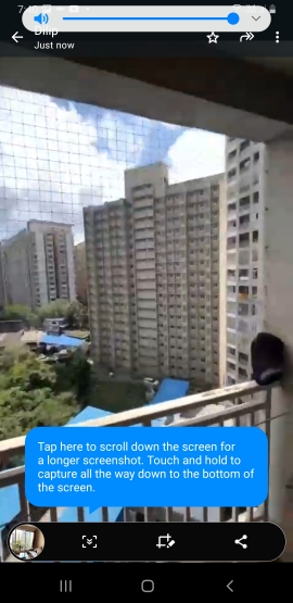 2 BHK Apartment For Sale in Kakad Paradise Phase 1