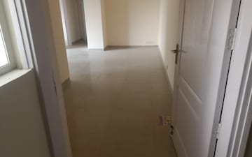 2 BHK Apartment For Rent in ROF Ananda, Sector 95