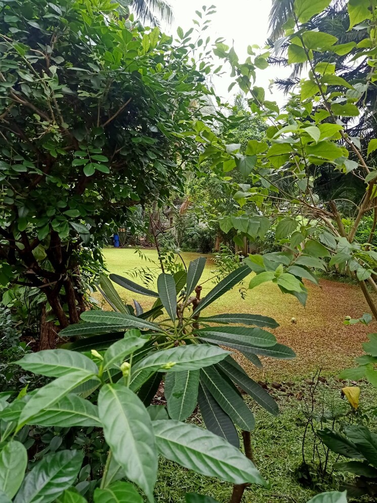 Exterior View, andheri west 1 Bedroom 625 Sq.Ft. Apartment In Andheri West Mumbai 8489262