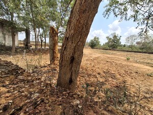  3 BHK Apartment at Patrapada – for Sale