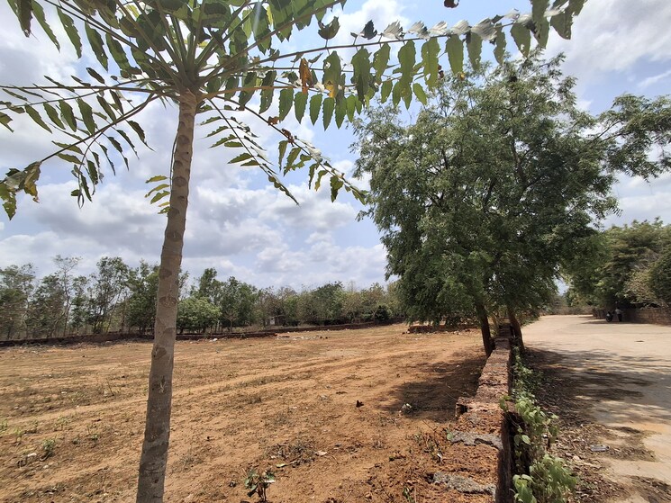 undefined, patrapada 3 Bedroom 1454 Sq.Ft. Apartment In Patrapada Bhubaneswar 8489416