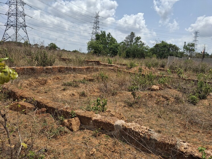 undefined, patrapada 3 Bedroom 1454 Sq.Ft. Apartment In Patrapada Bhubaneswar 8489416