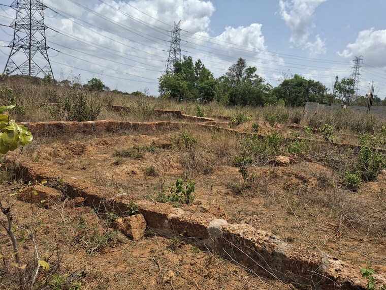 undefined, patrapada 3 Bedroom 1454 Sq.Ft. Apartment In Patrapada Bhubaneswar 8489416