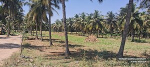 Plot Area in  Land at Sulur – for Sale