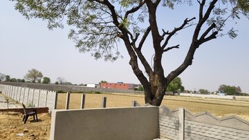  Plot For Sale in Jewar