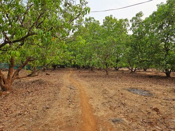 Plot Area in  Land at Mangaon – for Sale