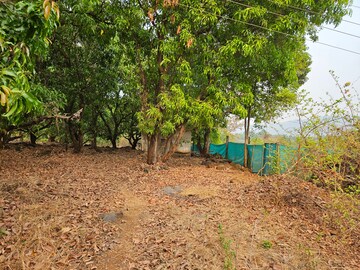 Plot Area in  Land at Mangaon – for Sale