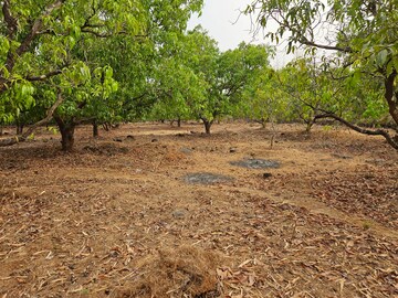 Plot Area in  Land at Mangaon – for Sale