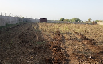 Plot For Sale in Bhimtal