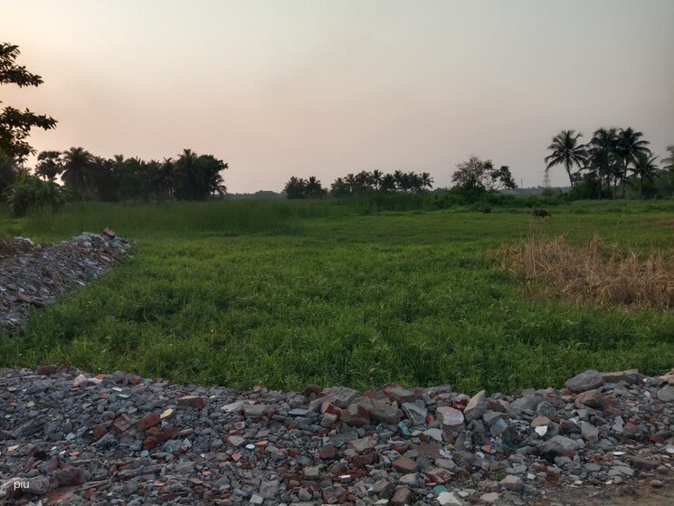 undefined, amtala  2160 Sq.Ft. Plot In Amtala Kolkata 8490695