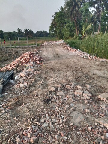 Plot Area in  Plot at Amtala – for Sale
