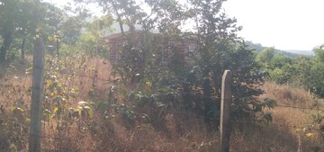 Plot Area in  Plot at Mangaon – for Sale