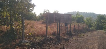  Plot – Exterior View View at Mangaon - for Sale