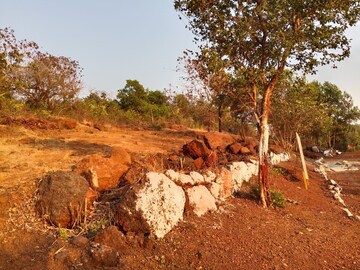 Plot Area in  Plot at Mangaon – for Sale