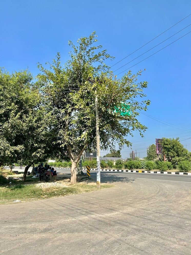 Garden, roorkee road  175 Sq.Yd. Plot In Roorkee Road Meerut 8491429