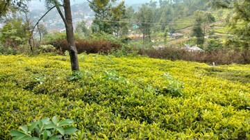  Plot For Sale in Ketti