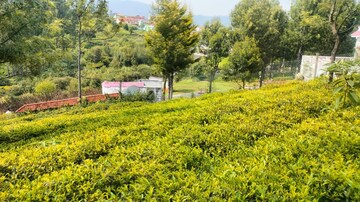  Plot – Garden View at Ketti - for Sale