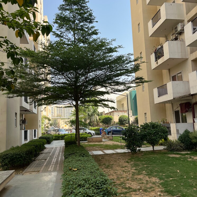 Exterior View, gls-arawali-homes 2 Bedroom 567 Sq.Ft. Apartment In Sohna Sector 4 Gurgaon 8491756