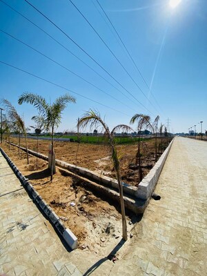 Plot Area in  Plot at Ajmer Road – for Sale