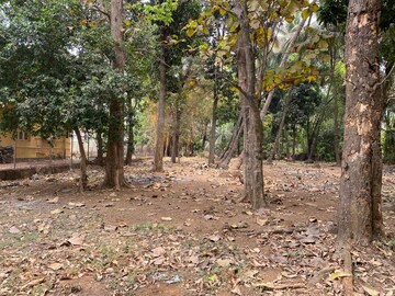 Plot Area in  Plot at Alibag – for Sale