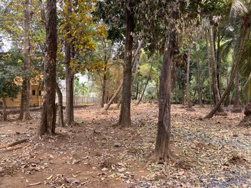 Plot Area in  Plot at Alibag – for Sale