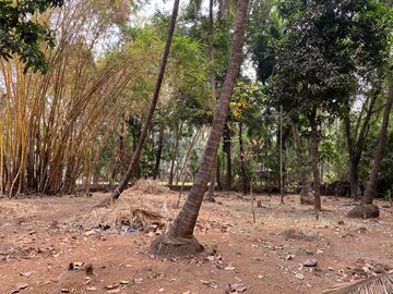 Plot Area in  Plot at Alibag – for Sale