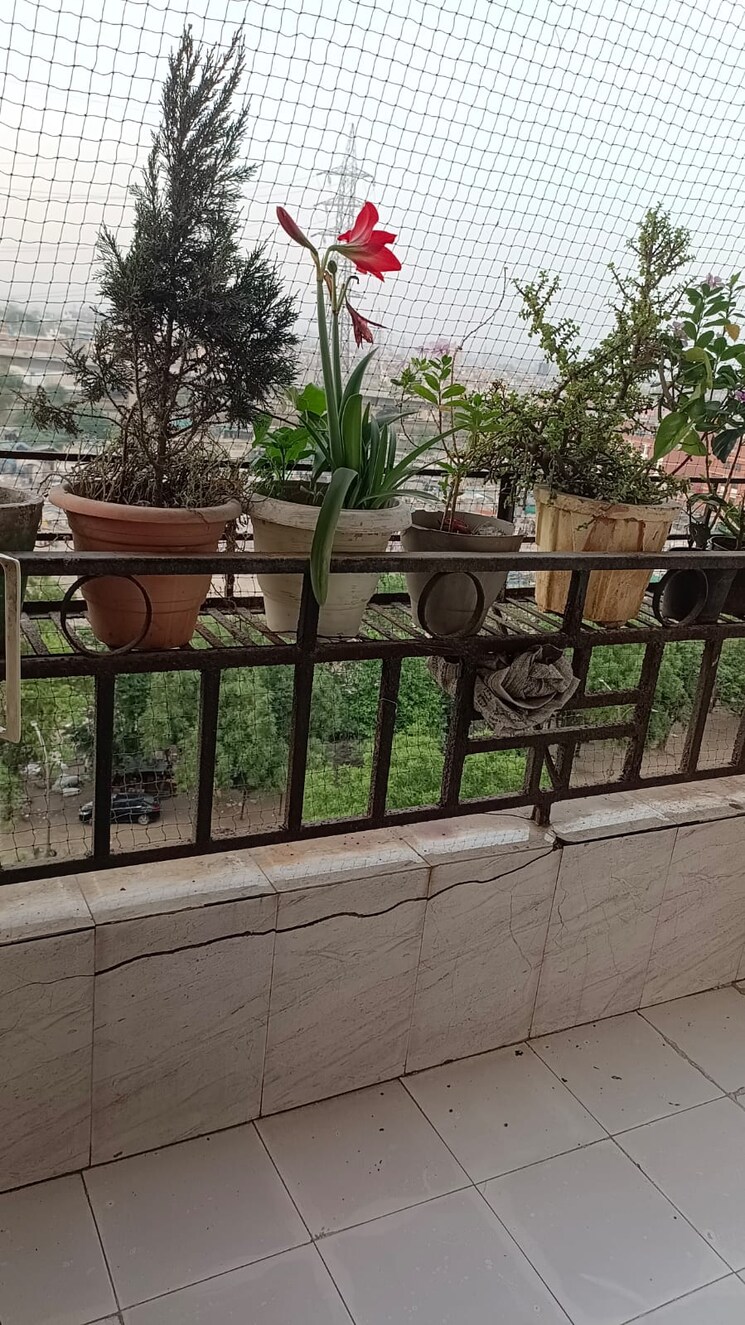 Gym, vasundhara sector 1 2.5 Bedroom 1500 Sq.Ft. Apartment In Vasundhara Sector 1 Ghaziabad 8493877