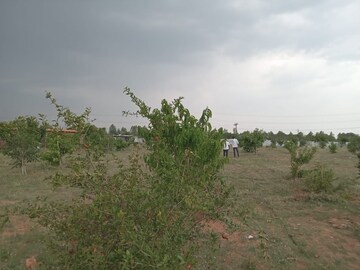 Plot Area in  Plot at Bihta – for Sale