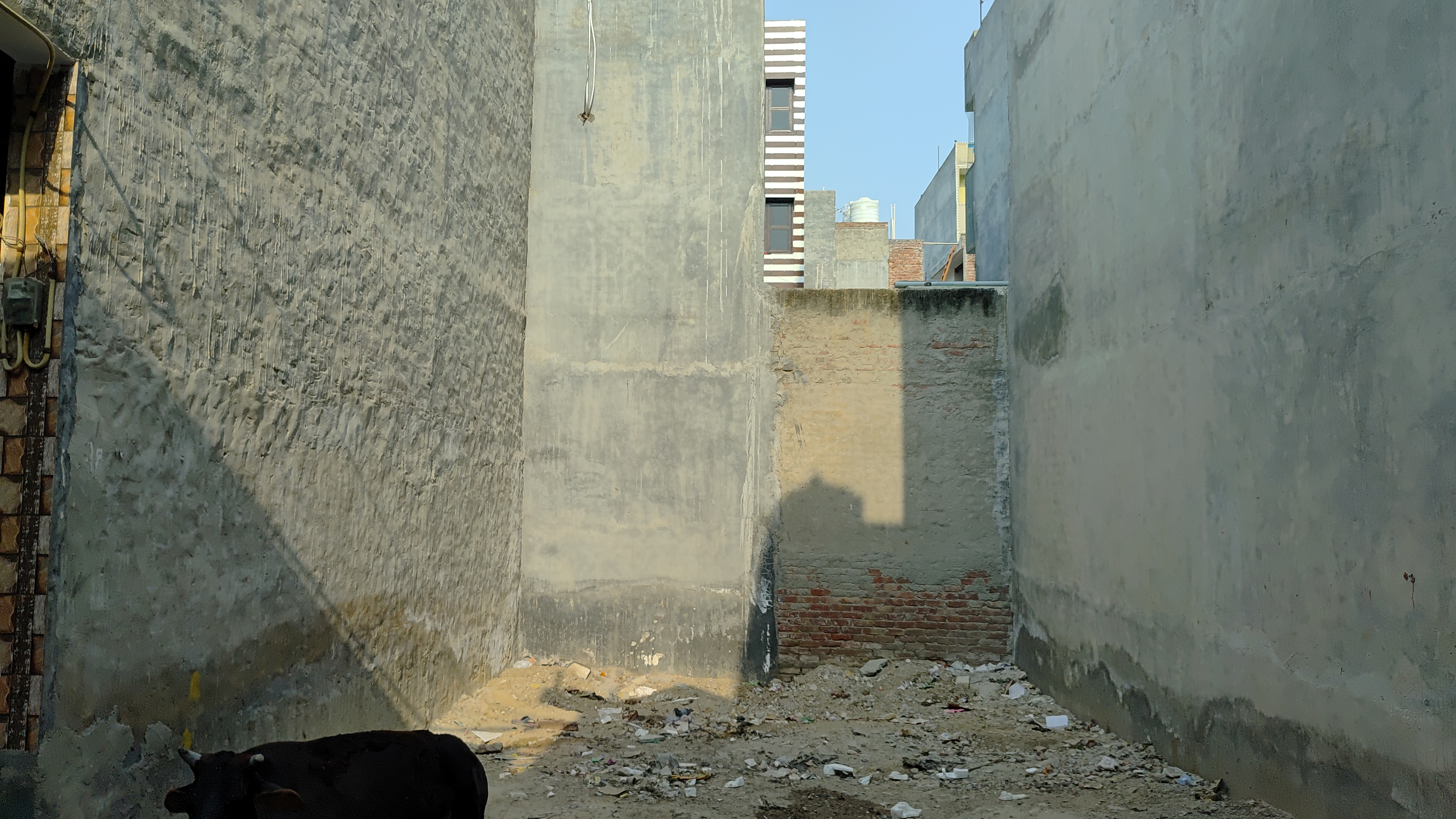 Plot For Sale in Mohan Garden