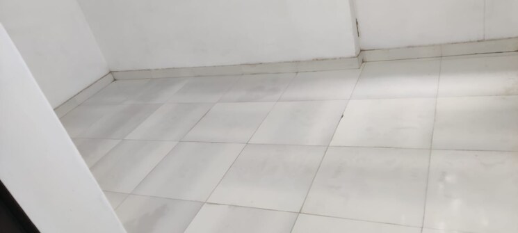 Bathroom, pitampura 3 Bedroom 1050 Sq.Ft. Builder Floor In Pitampura Delhi 8494679