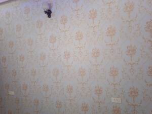 2 BHK Builder Floor For Sale in Pratap Vihar