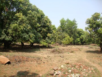 Plot Area in  Land at Mangaon – for Sale